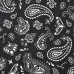 Шкурка для скейтборда dipGRIP Paisley Black